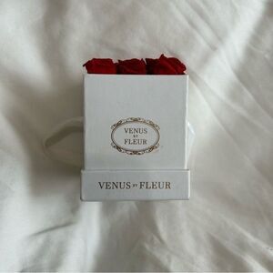 Venus et Fleur - Le Mini - Mini Square